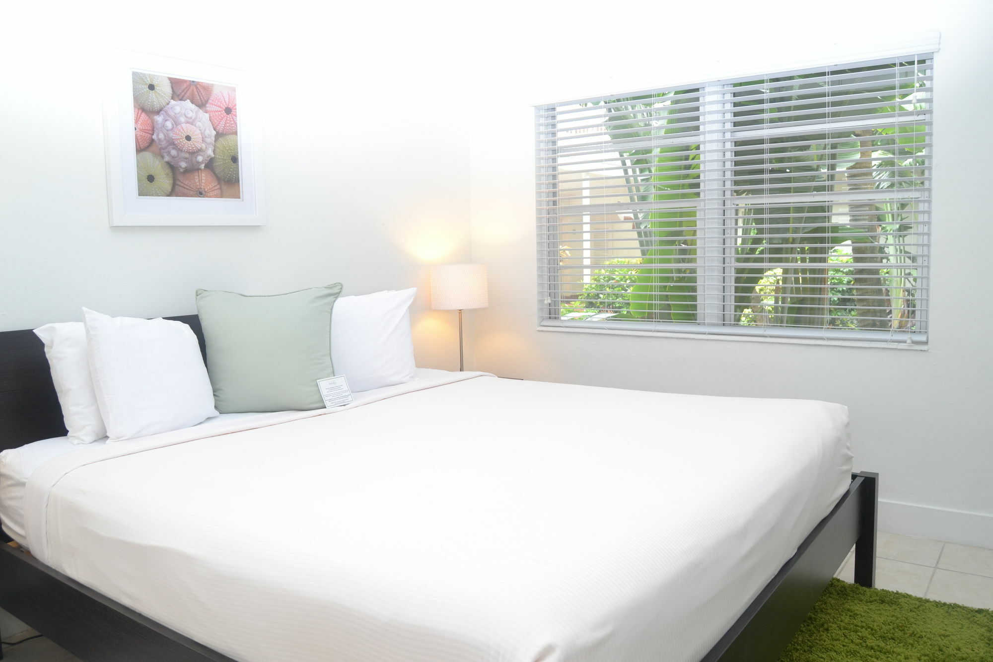 פורט לודרדייל Solas A North Beach Village Resort Hotel מראה חיצוני תמונה